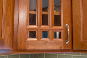 Vidal Modern Craftsman kitchen design